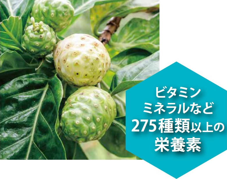 NONI CBDショット10本✖️2セット