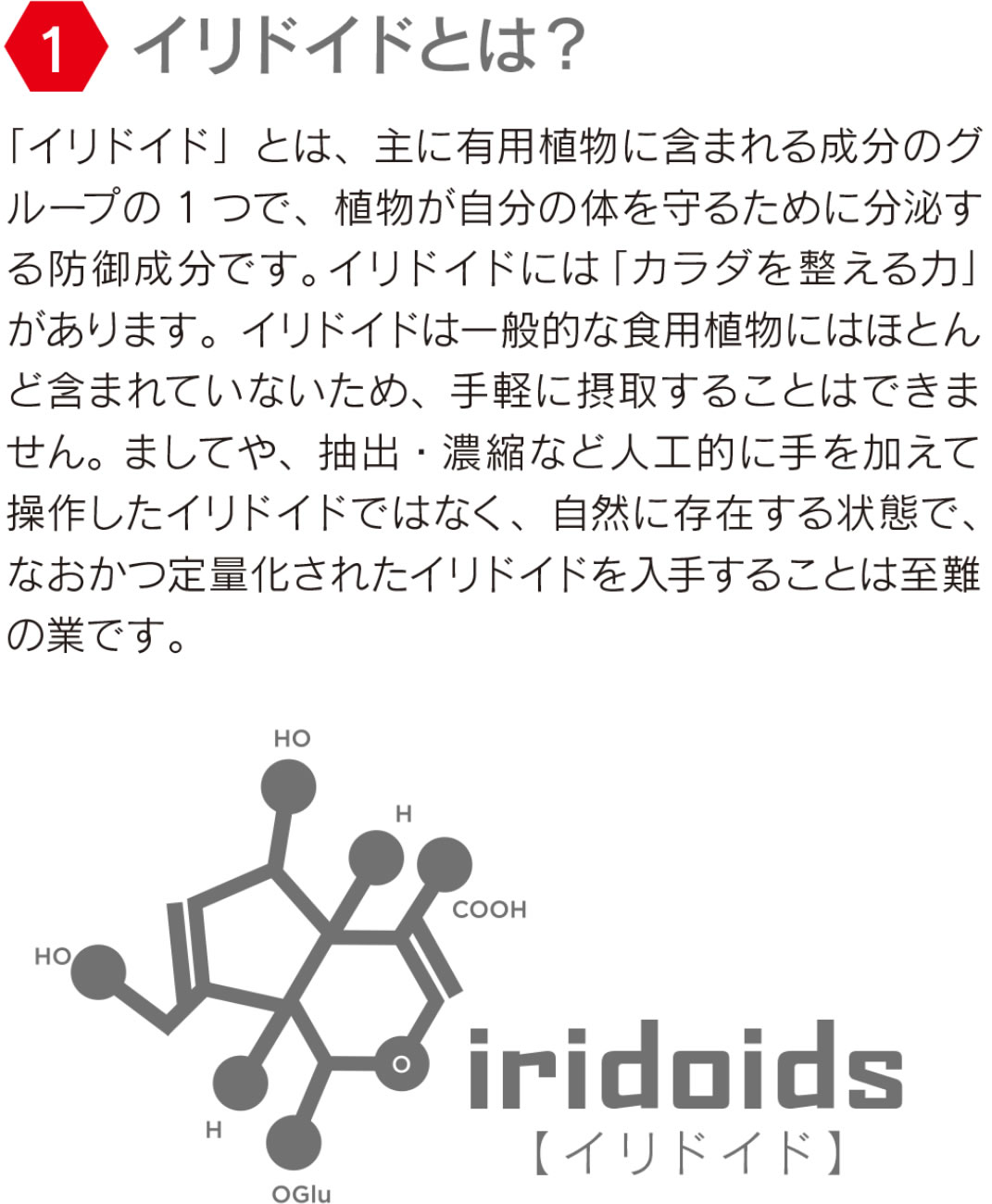 タヒチアンノニジュース・マキシドイド通販サイト - ノニファミリー タヒチアンノニジュース・マキシドイド通販サイト - ノニファミリー
