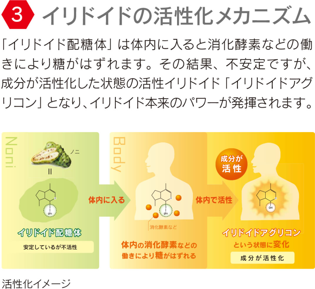 タヒチアンノニジュース・マキシドイド通販サイト - ノニファミリー タヒチアンノニジュース・マキシドイド通販サイト - ノニファミリー