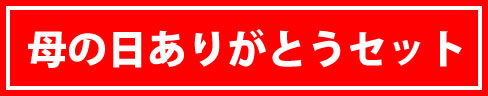 特別セール品
