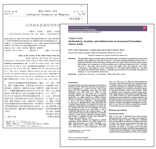 トゥルーエイジ マキシドイド モリンダマガジン